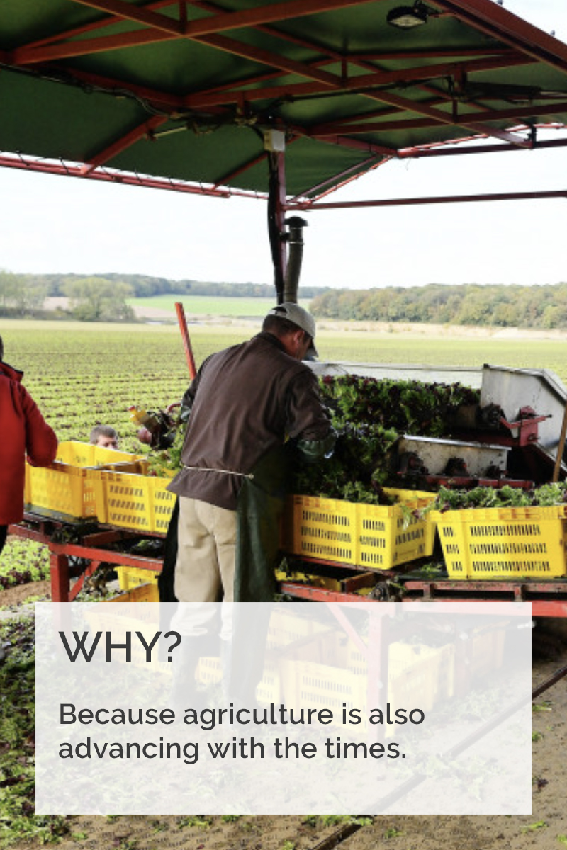 images/Miert/why2.jpg#joomlaImage://local-images/Miert/why2.jpg?width=800&height=1200