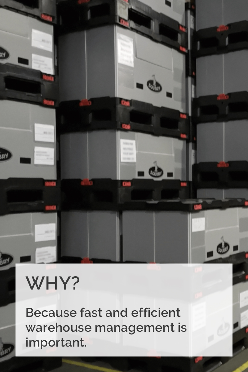 images/Miert/why3.jpg#joomlaImage://local-images/Miert/why3.jpg?width=800&height=1200
